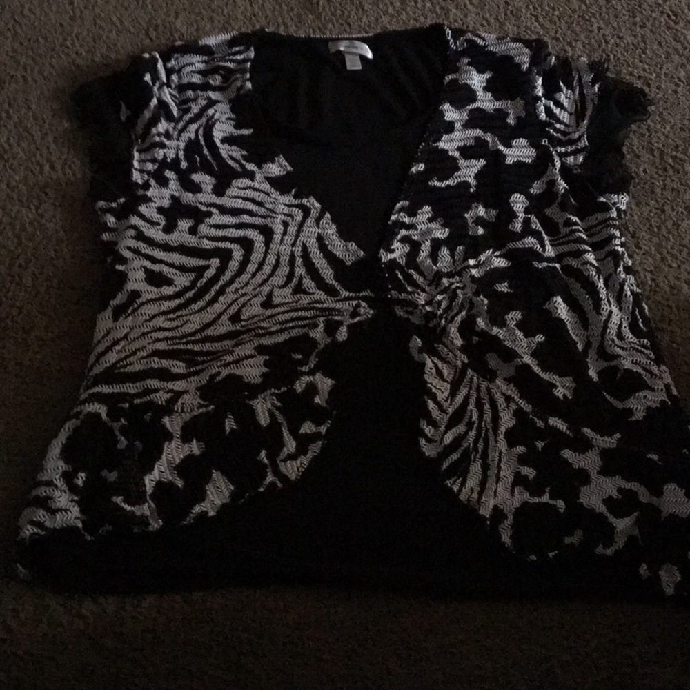 DressBarn 22/24